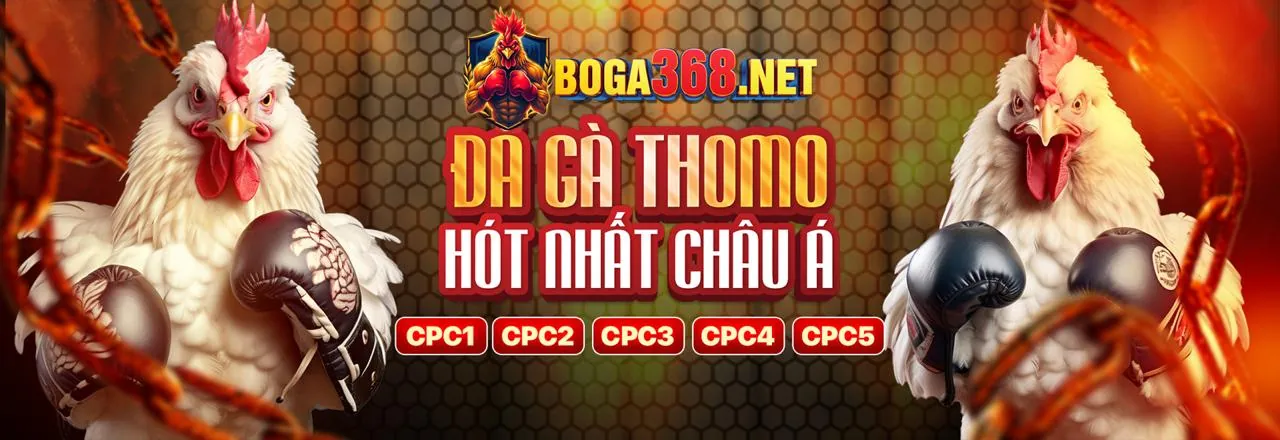 Sự kiện và giải đấu 5fun